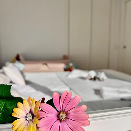 Apartment White Summer In *